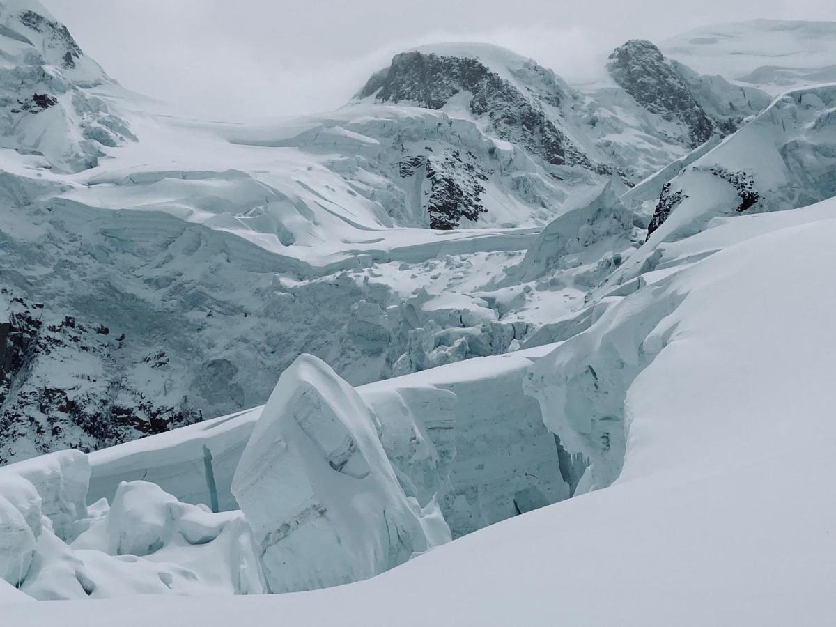 Le Petit Cham Lägenhet Chamonix Exteriör bild